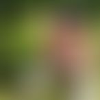 ClaraEtNour5653, Couple, 43 ans, Etalle (3)